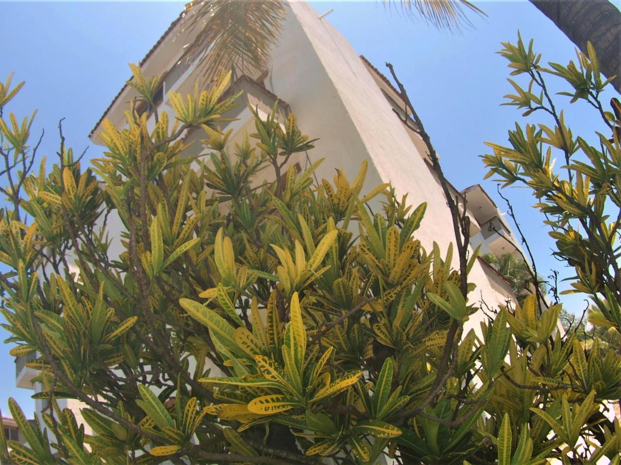 Suites Las Palmas Hotel Y Villas มานซานิโญ ภายนอก รูปภาพ