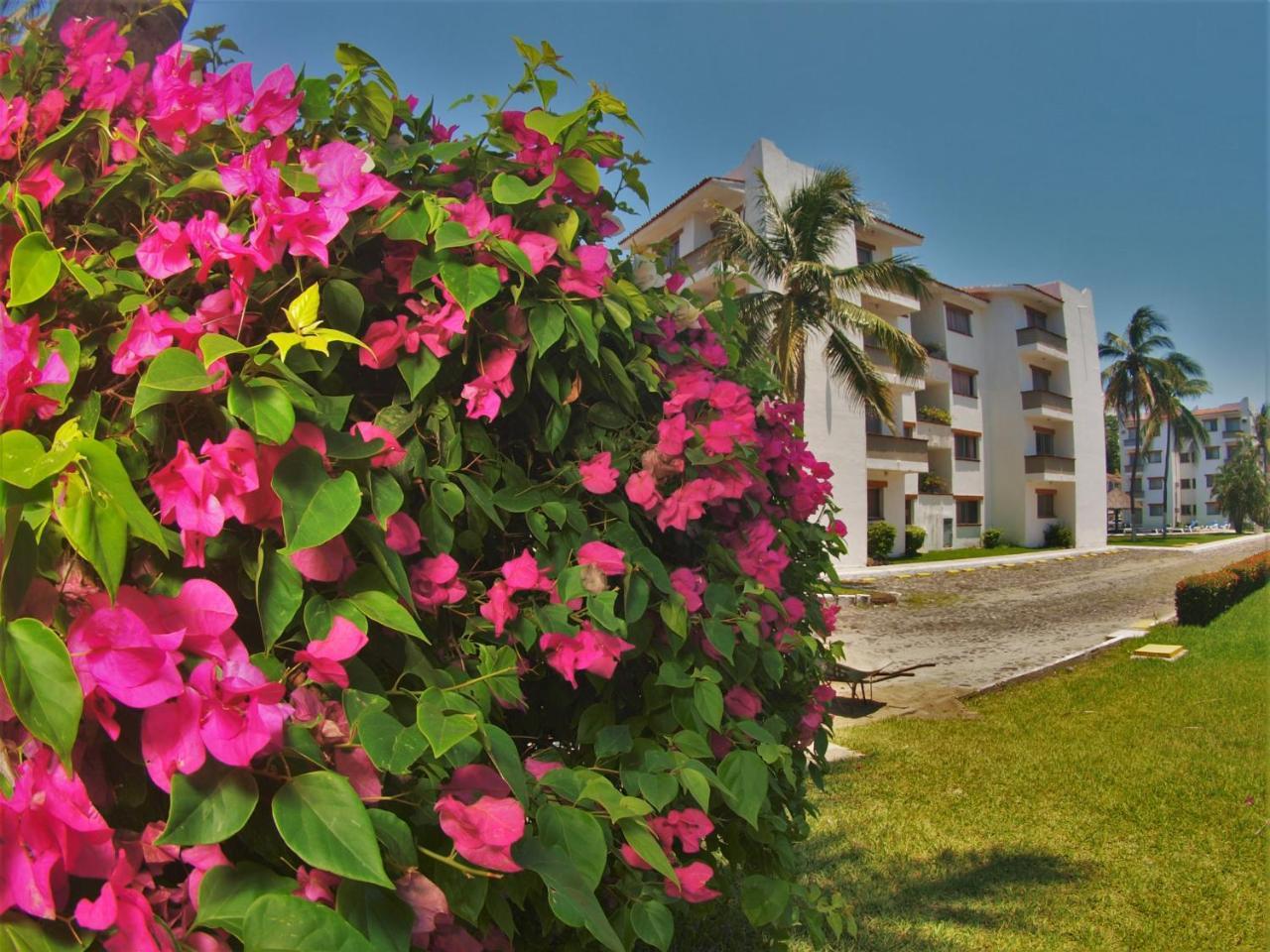 Suites Las Palmas Hotel Y Villas มานซานิโญ ภายนอก รูปภาพ